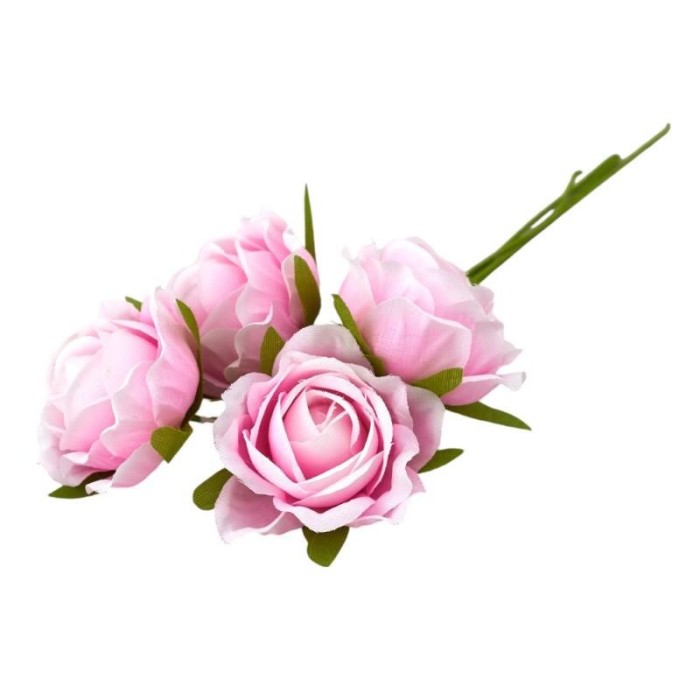 ROSA SFUMATA ROSA D4